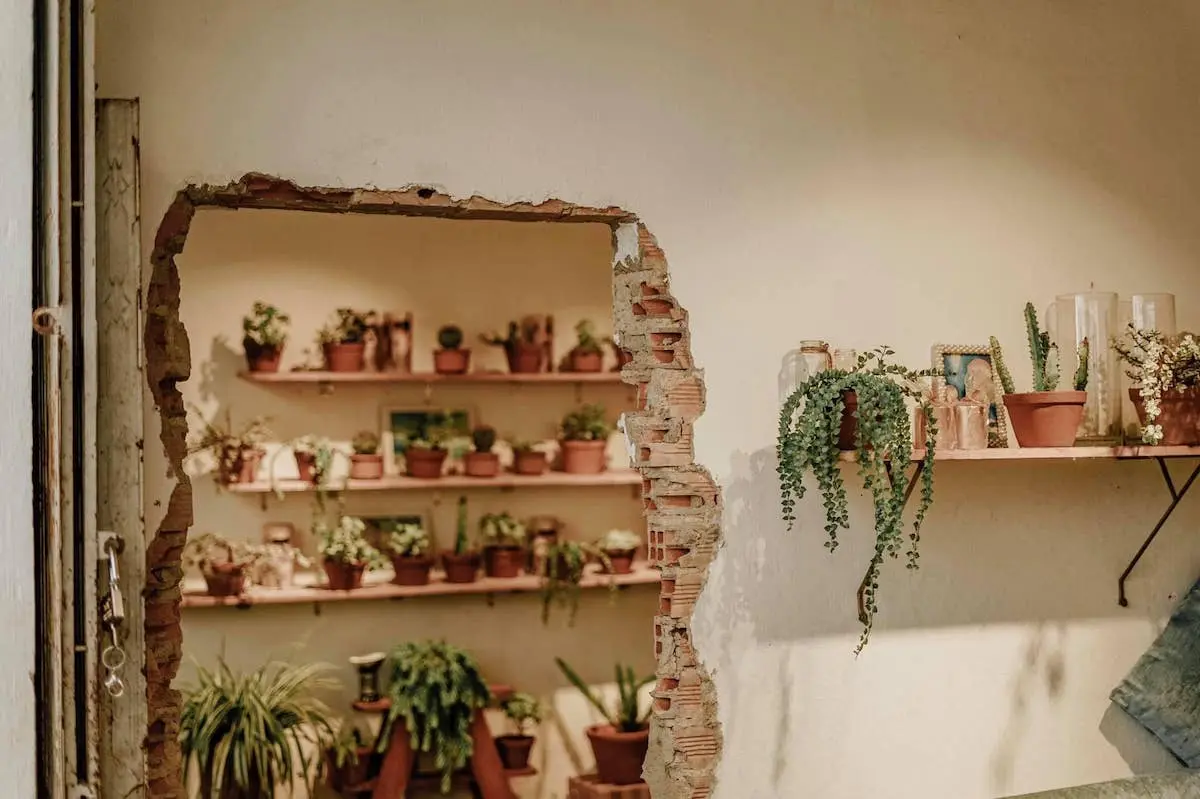 Boho Corner Coffee - Quán cà phê phong cách Bohemia độc đáo, quyến rũ
