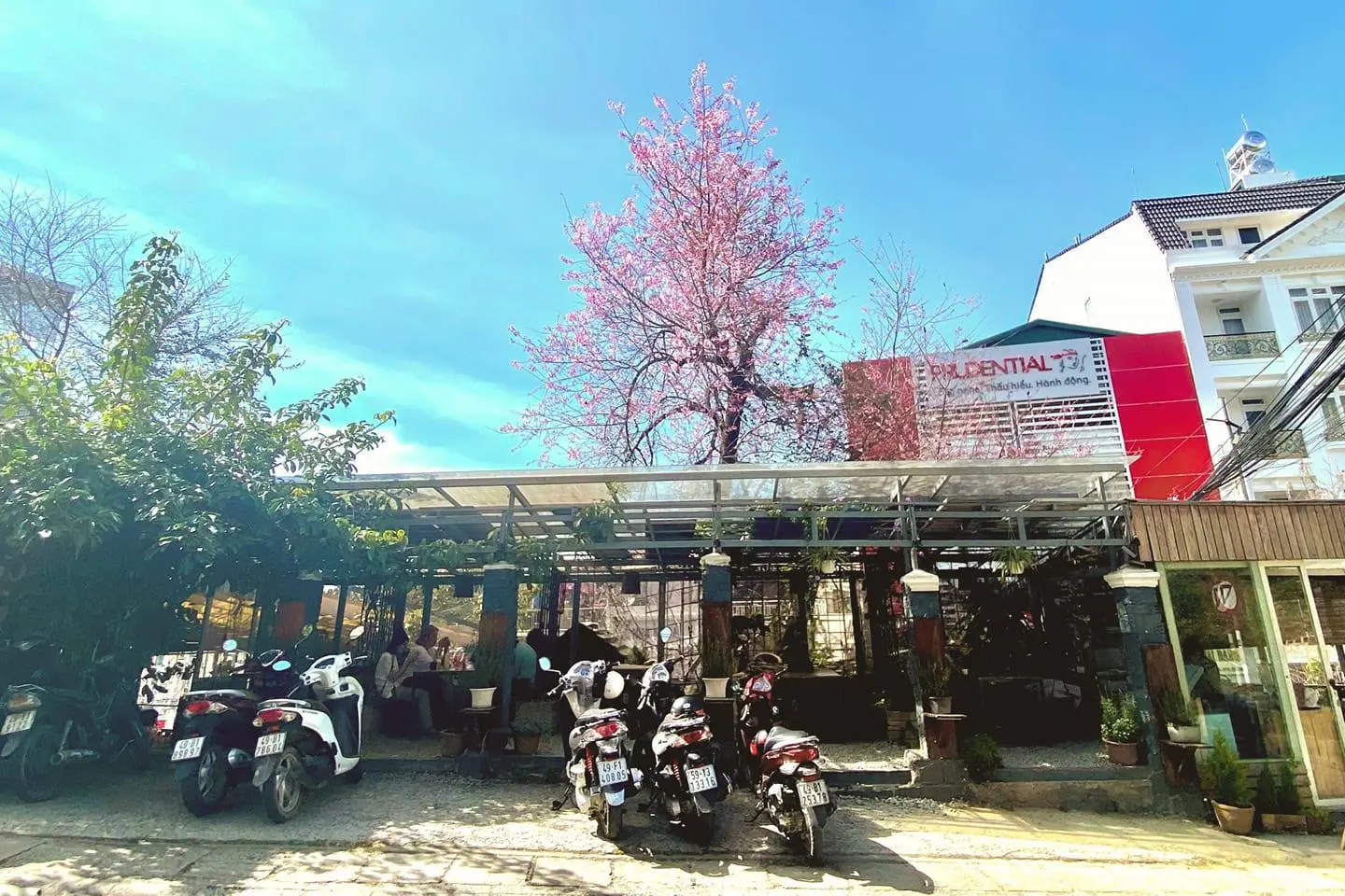 An Coffee &ndash; Chốn b&igrave;nh y&ecirc;n xanh thẳm cho những t&acirc;m hồn mỏng manh 3