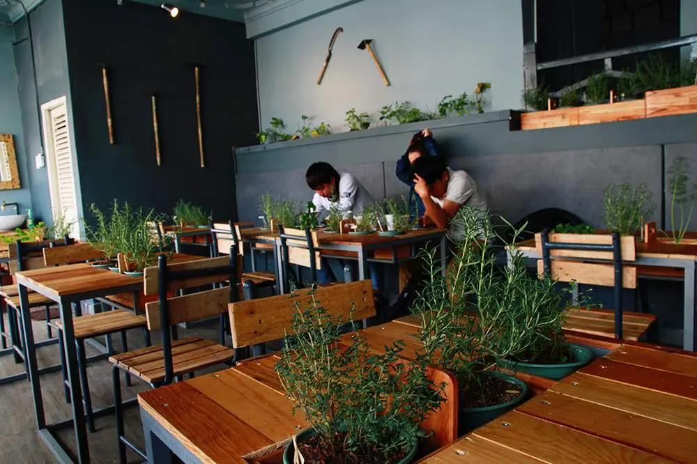 An Coffee &ndash; Chốn b&igrave;nh y&ecirc;n xanh thẳm cho những t&acirc;m hồn mỏng manh 29