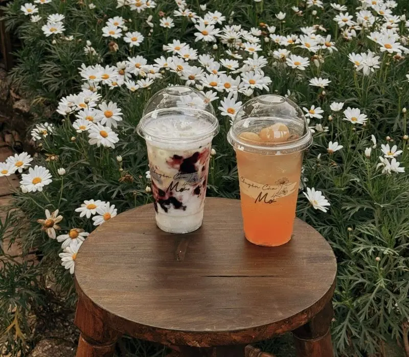 Chuyện Của Mơ Coffee: Tọa độ chụp ảnh xịn s&ograve; tại Đ&agrave; Lạt 8