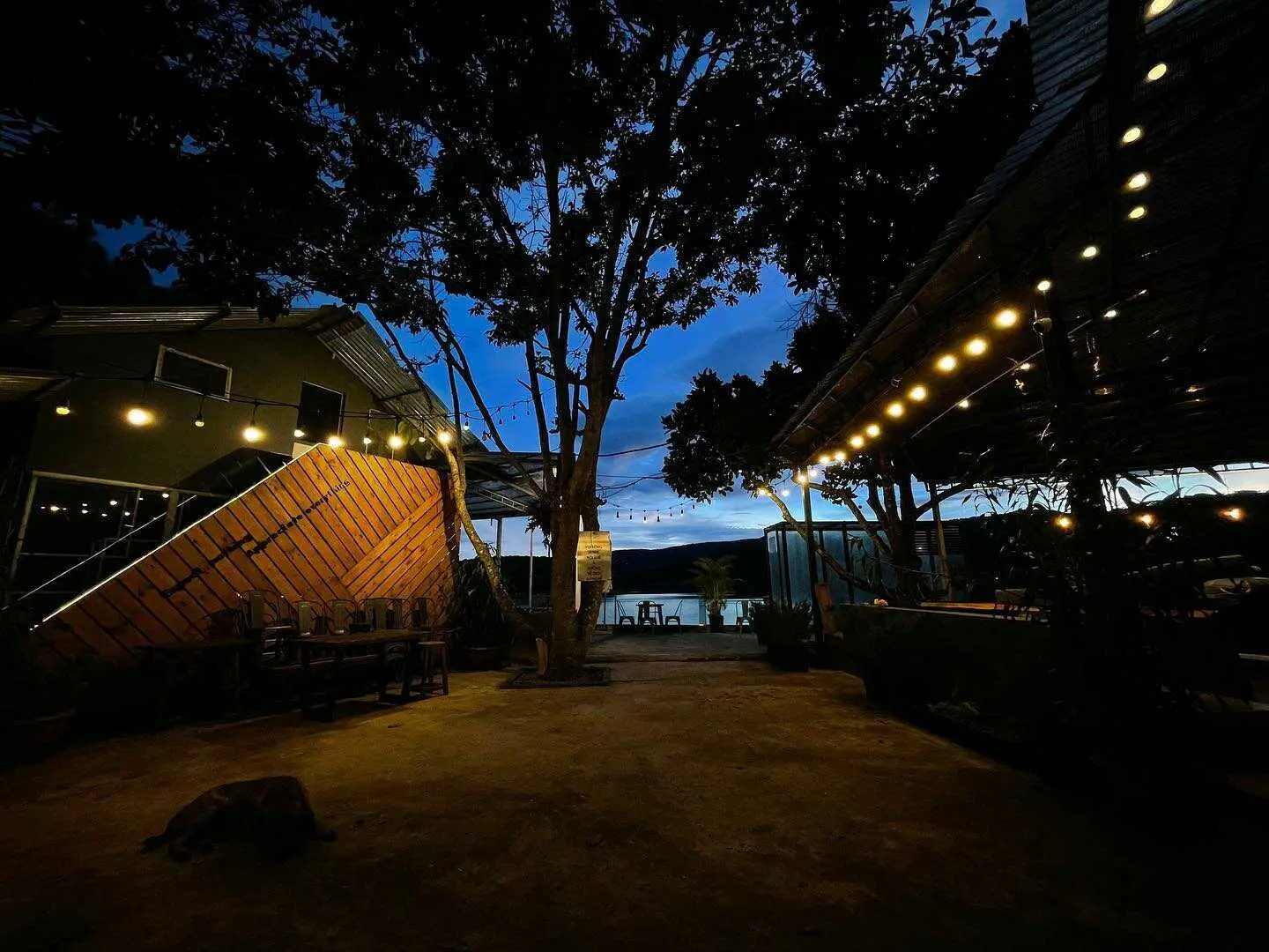 Đến The Seen House Coffee v&agrave; ngắm hồ Tuyền L&acirc;m đẹp như tranh thủy mặc 14