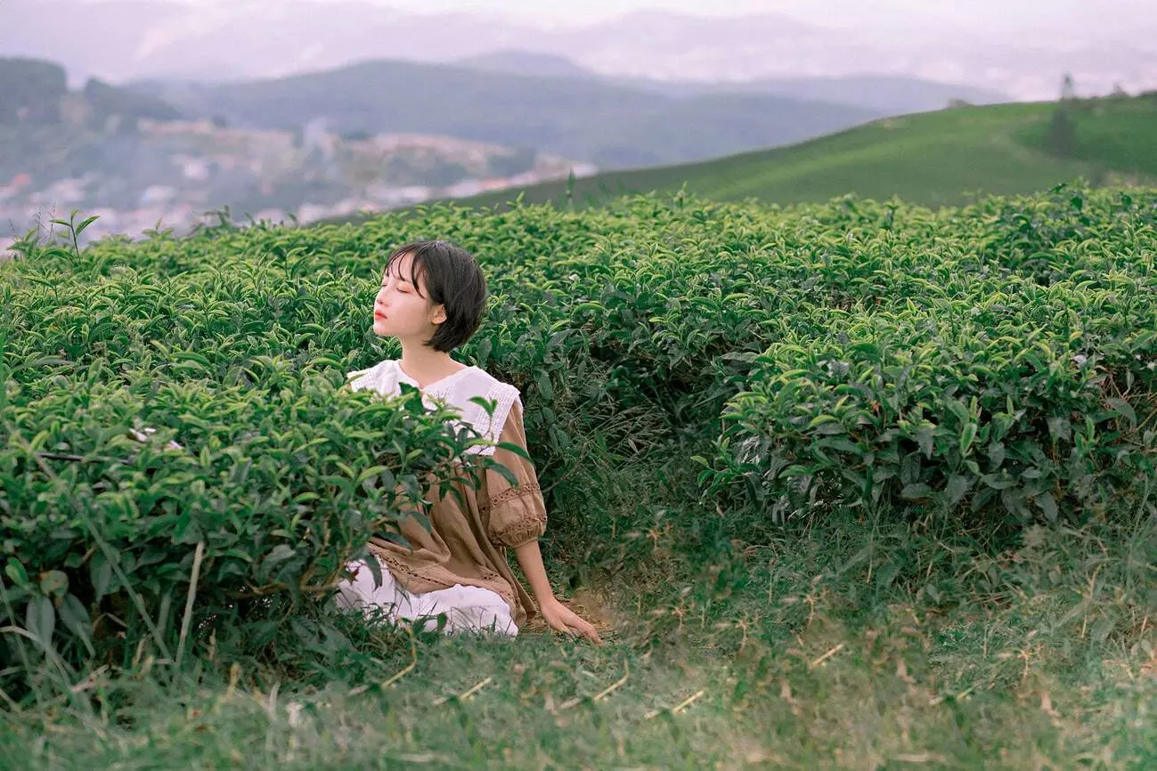Đồi ch&egrave; Cầu Đất Coffee - N&ocirc;ng trại từ những năm 1927 9