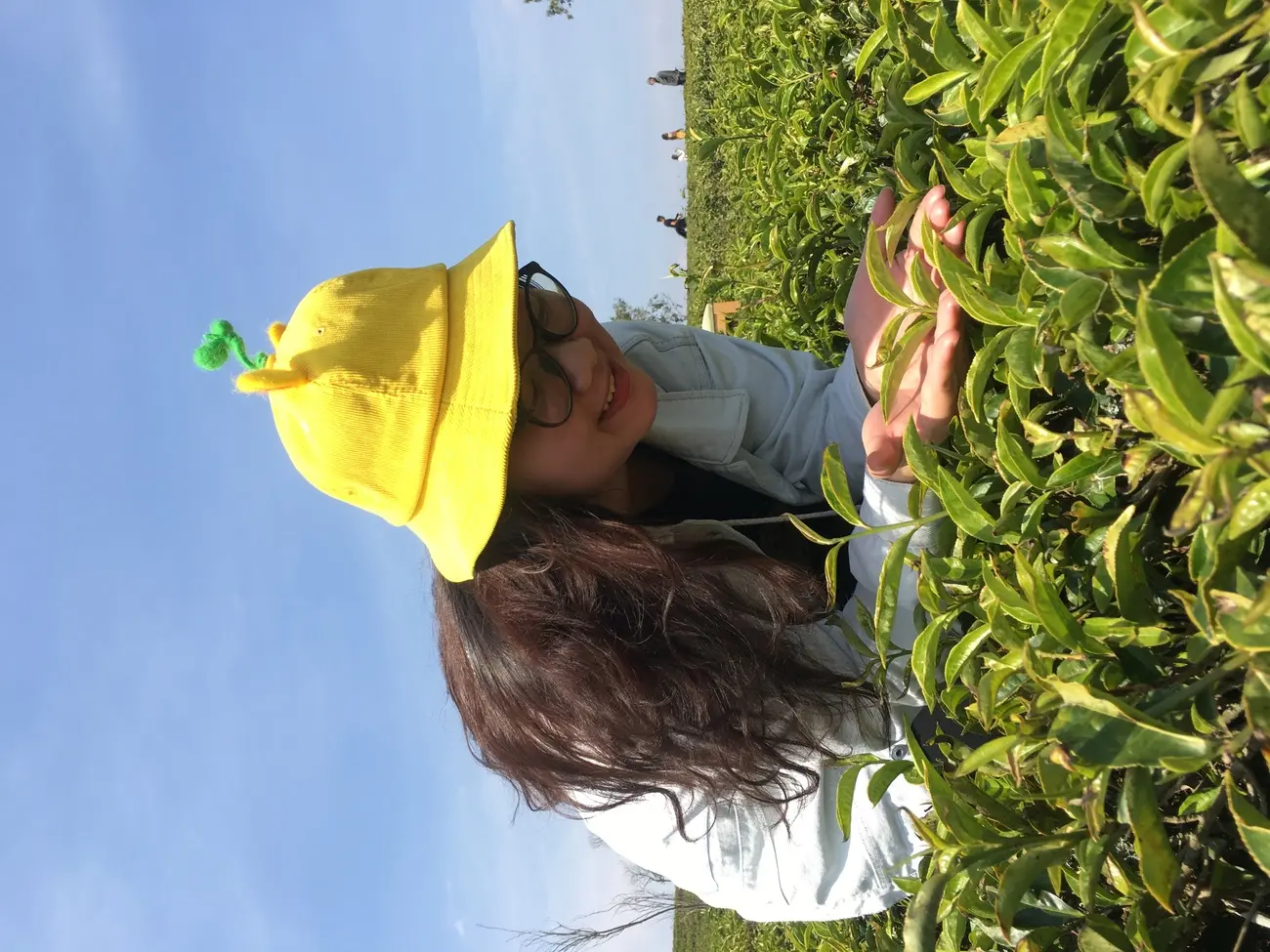 Đồi ch&egrave; Cầu Đất Coffee - N&ocirc;ng trại từ những năm 1927 8