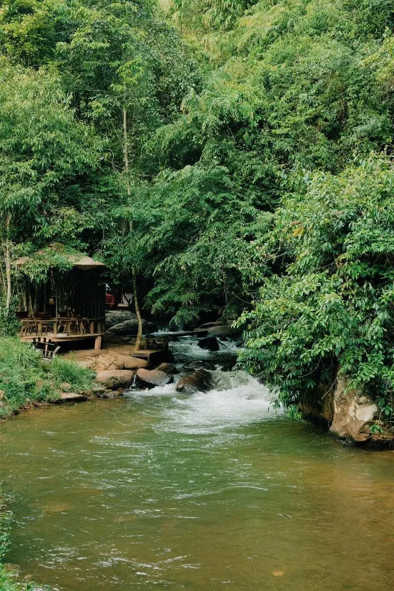 Gh&eacute; đến Tiệm c&agrave; ph&ecirc; Nh&agrave; B&ecirc;n Suối h&ograve;a m&igrave;nh v&agrave;o thi&ecirc;n nhi&ecirc;n 7
