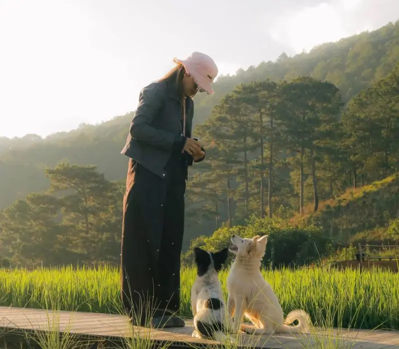 Hidden Land Đ&agrave; Lạt: Thi&ecirc;n đường ẩn m&igrave;nh giữa n&uacute;i rừng c&oacute; g&igrave;? 6