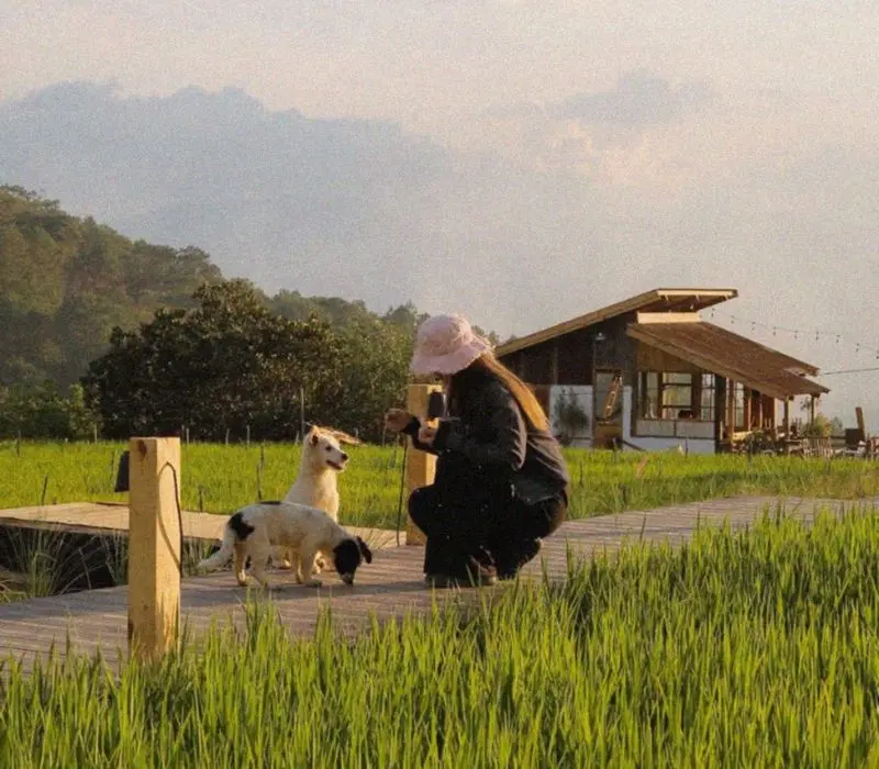 Hidden Land Đ&agrave; Lạt: Thi&ecirc;n đường ẩn m&igrave;nh giữa n&uacute;i rừng c&oacute; g&igrave;? 3