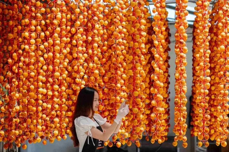 Hồng treo gi&oacute; Đ&agrave; Lạt: Thức qu&agrave; đặc sản đầy ho&agrave;i niệm về xứ mộng mơ 3