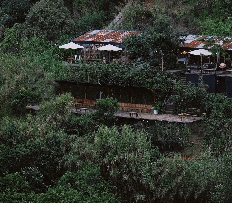 In The Forest Đ&agrave; Lạt: Qu&aacute;n cafe giữa rừng th&ocirc;ng độc đ&aacute;o 2
