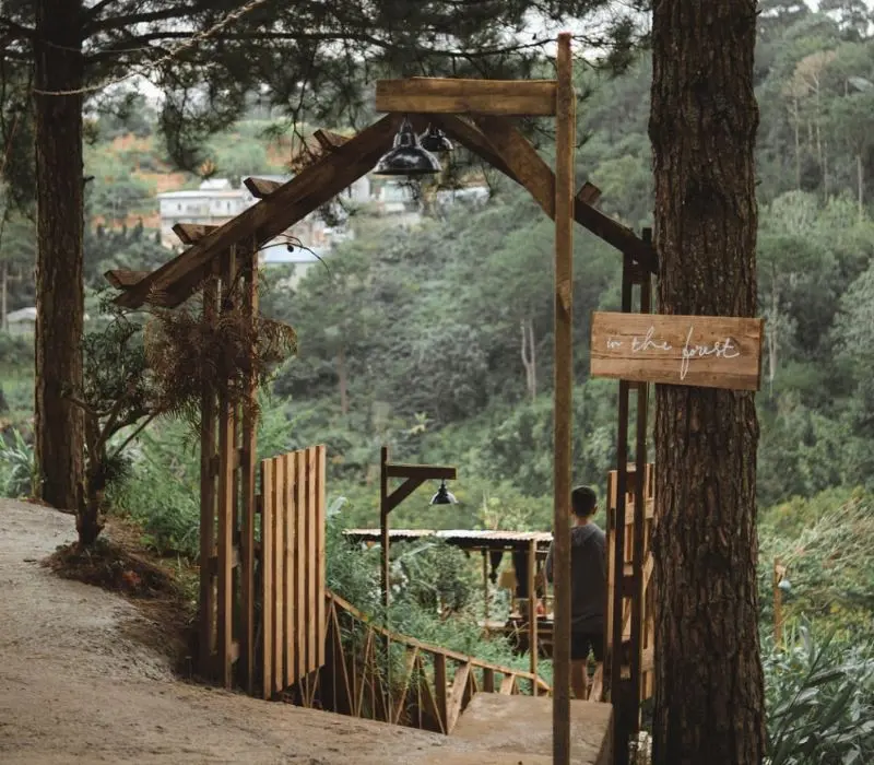 In The Forest Đ&agrave; Lạt: Qu&aacute;n cafe giữa rừng th&ocirc;ng độc đ&aacute;o 3