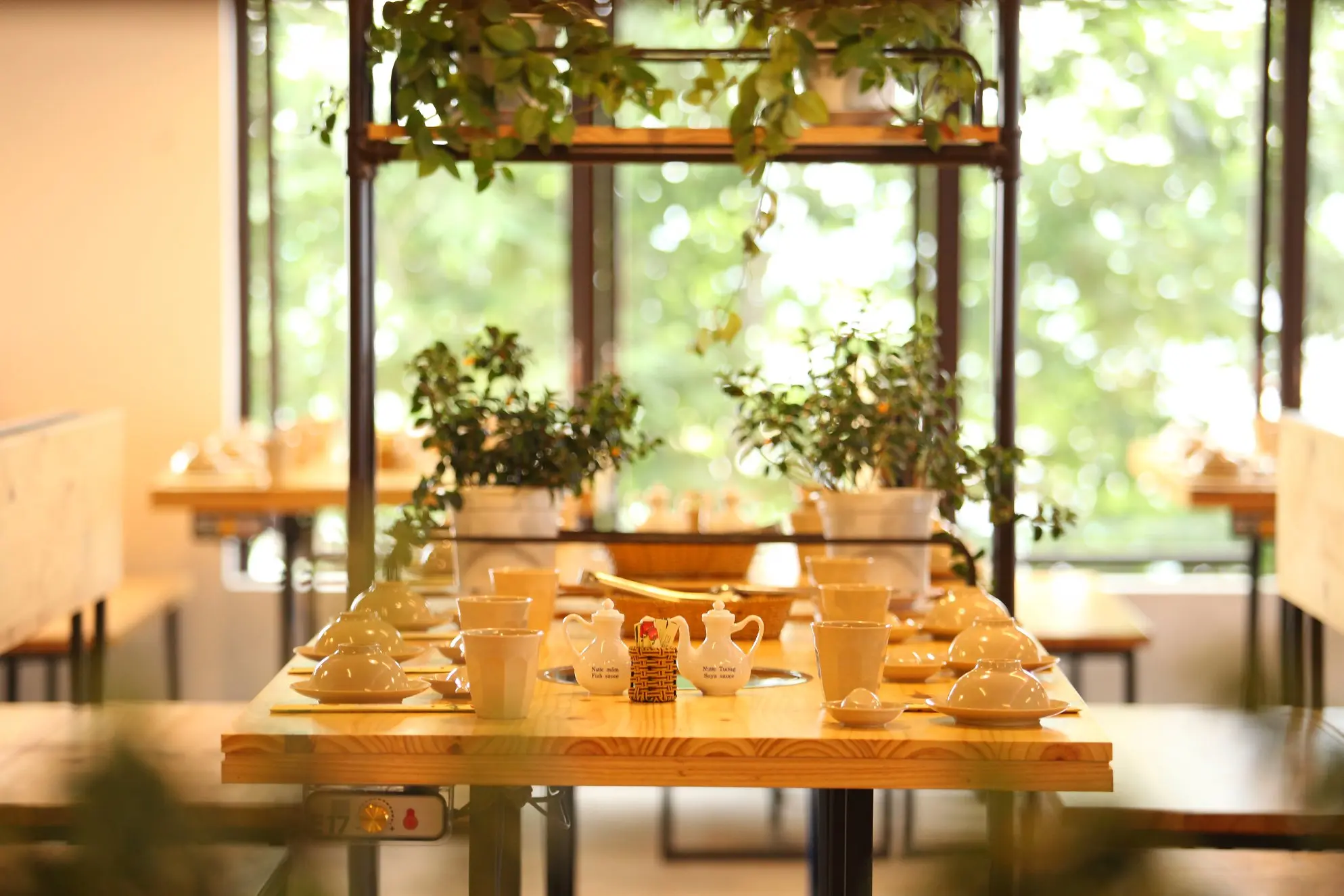 Kh&aacute;m ph&aacute; thi&ecirc;n đường rau sạch ở nh&agrave; h&agrave;ng buffet rau LEGUDA Đ&agrave; Lạt 5