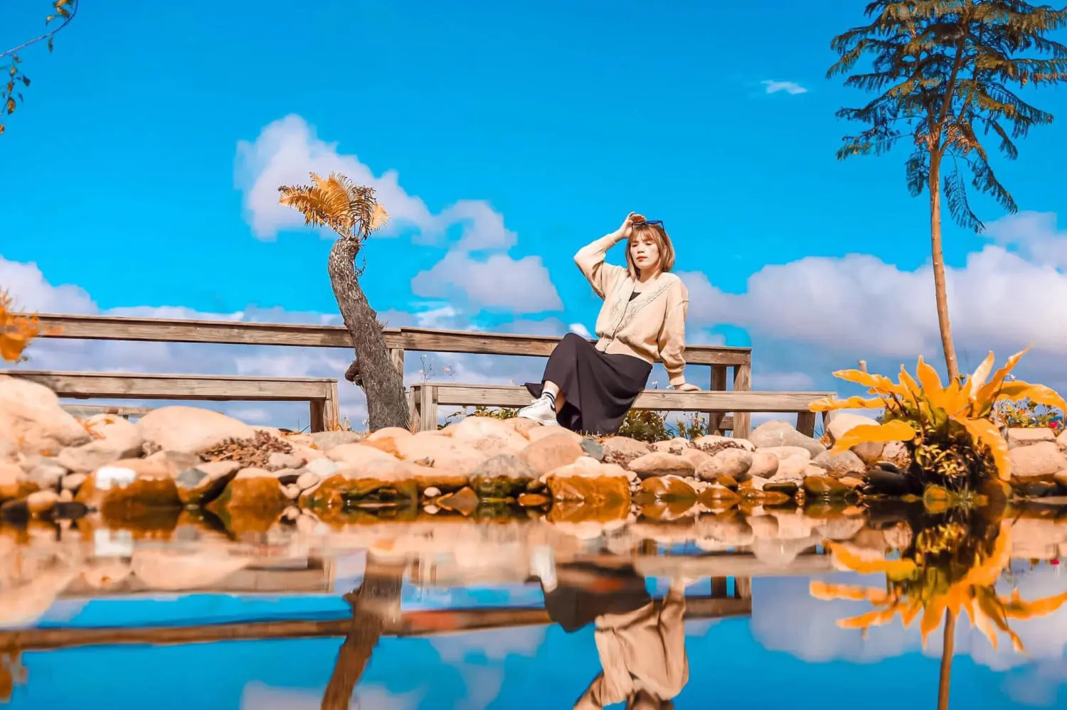 L&agrave;ng Vũ Thị - Săn l&ugrave;ng qu&aacute;n c&agrave; ph&ecirc; với view ngắm Đ&agrave; Lạt cực lung linh 4