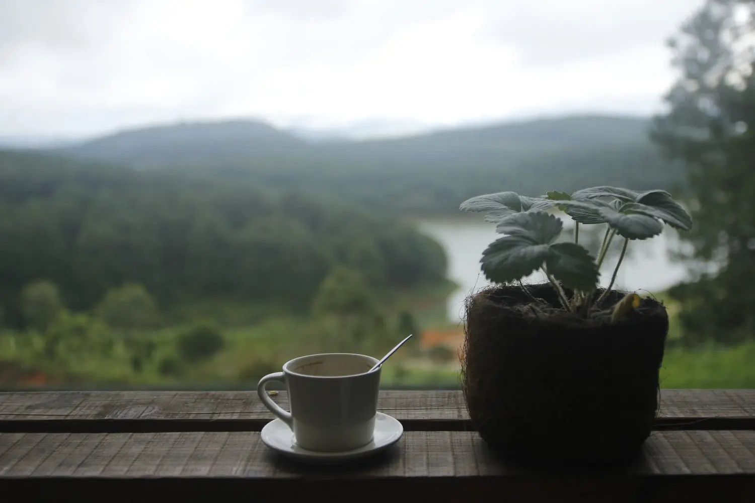 Lavenderdalat Coffee House - Qu&aacute;n c&agrave; ph&ecirc; c&oacute; view Hồ Tuyền L&acirc;m quyến rũ khiến ai cũng say l&ograve;ng tại Đ&agrave; Lạt 4