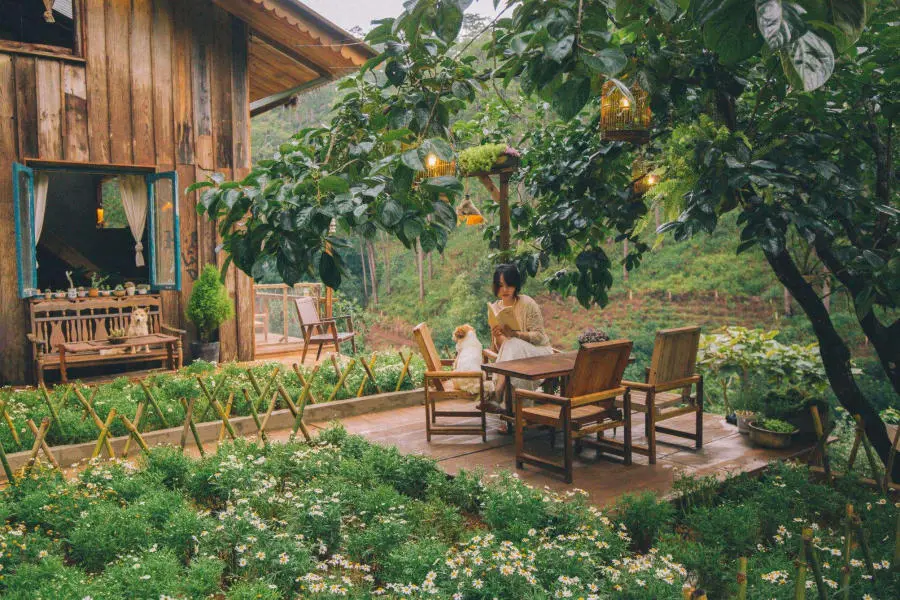 Lưng chừng cafe, g&oacute;c nhỏ b&igrave;nh y&ecirc;n giữa n&uacute;i rừng thơ mộng 5