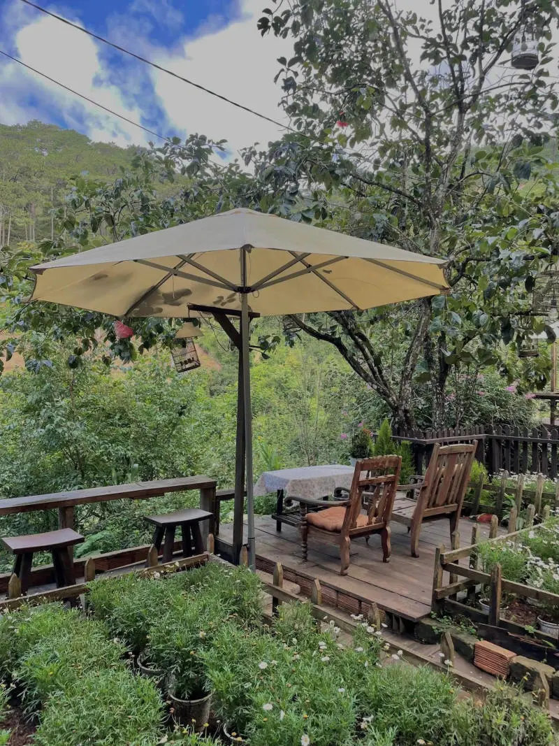 Lưng chừng cafe, g&oacute;c nhỏ b&igrave;nh y&ecirc;n giữa n&uacute;i rừng thơ mộng 9