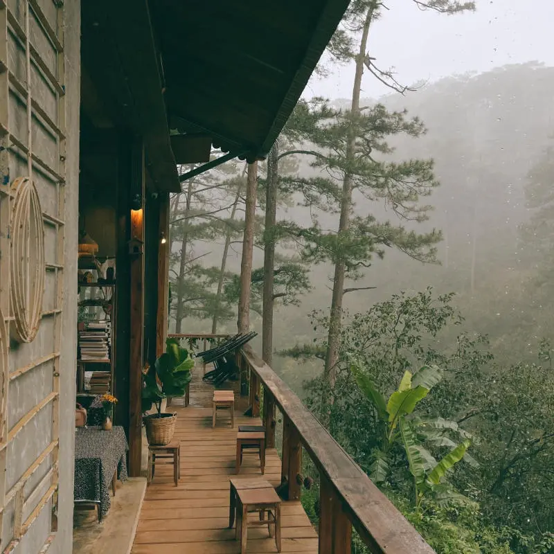 Lưng chừng cafe, g&oacute;c nhỏ b&igrave;nh y&ecirc;n giữa n&uacute;i rừng thơ mộng 11
