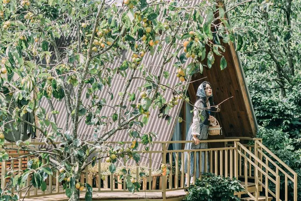 Mộc Trà Farm - Quán cà phê với con đường đẹp như phim Hàn Quốc 8