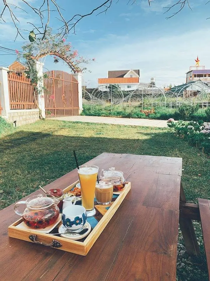 Rụng tim với top 6 qu&aacute;n Cafe hoa Đ&agrave; Lạt cực chất 5