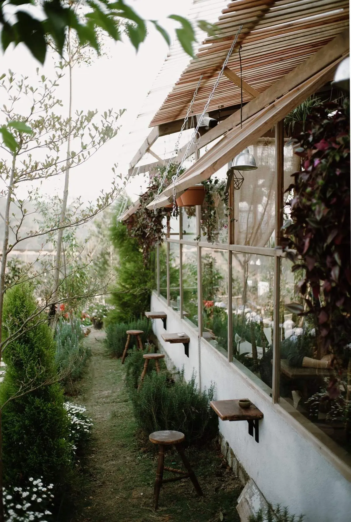 Tiệm cà phê Khu vườn mùa hè - Úm ba la ra quán cà phê mộng mơ đi một lần post hình một tuần ở Đà Lạt 5