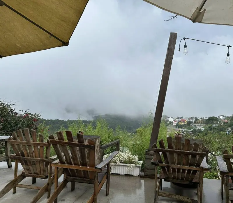 Tổ Chim Homestay Coffee Đ&agrave; Lạt c&oacute; g&igrave; đặc biệt? 4