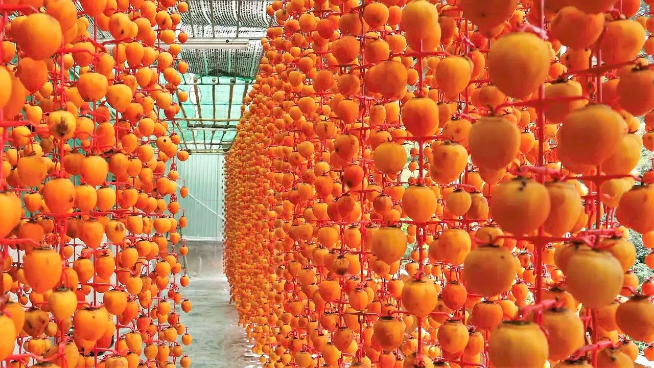 Top những m&oacute;n đặc sản ở Đ&agrave; Lạt bạn n&ecirc;n mua về l&agrave;m qu&agrave; 7