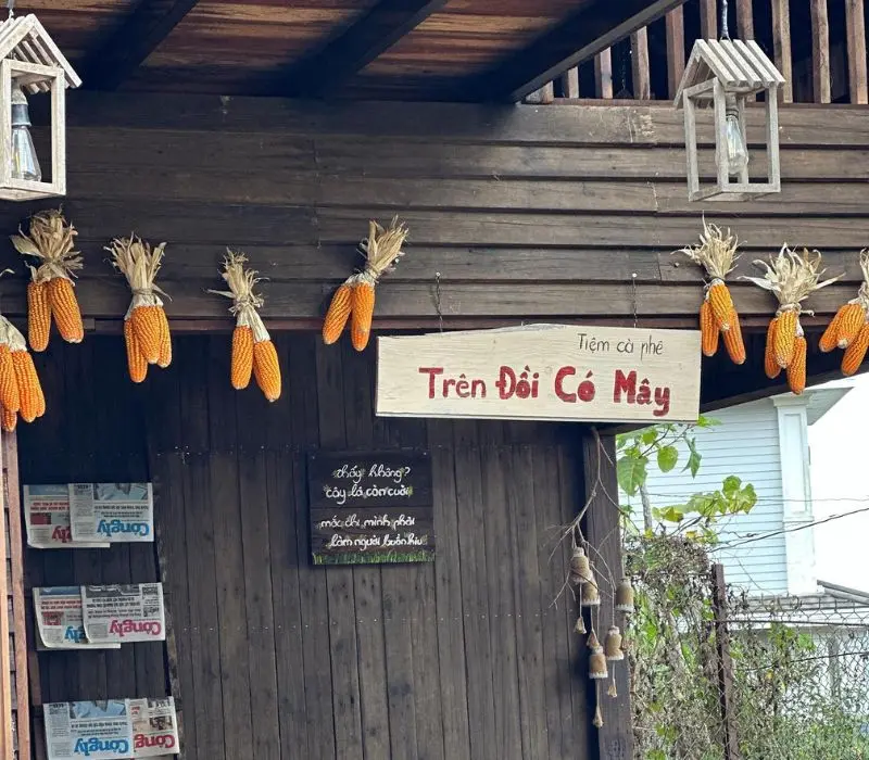 Tr&ecirc;n Đồi C&oacute; M&acirc;y Coffee Đ&agrave; Lạt, chốn chữa l&agrave;nh giữa rừng th&ocirc;ng 3