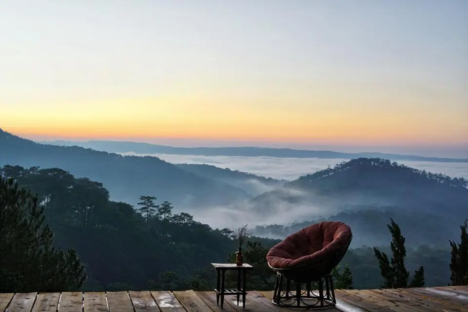 Gâu Garden Coffee - Điểm dừng chân của các bạn trẻ mê cún cưng