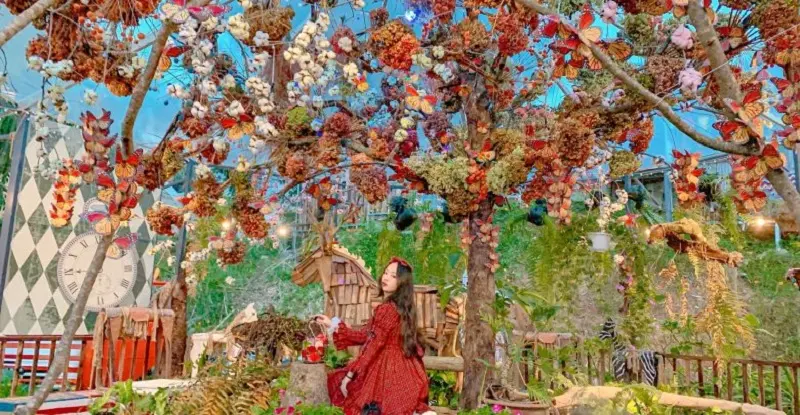 Magic Land Đà Lạt -Thiên đường sống ảo dành cho các bạn trẻ