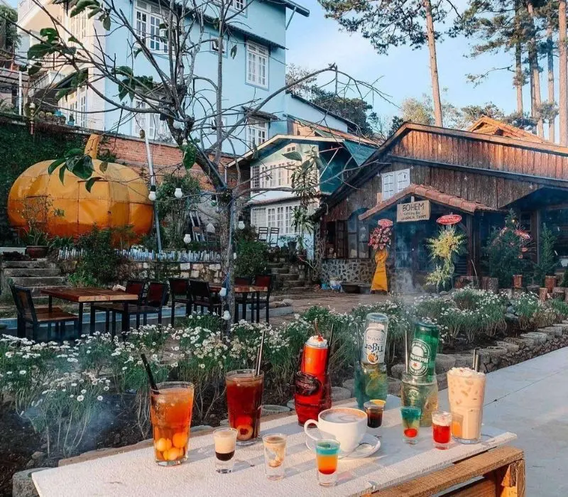Tổ Chim Homestay Coffee Đà Lạt có gì đặc biệt?
