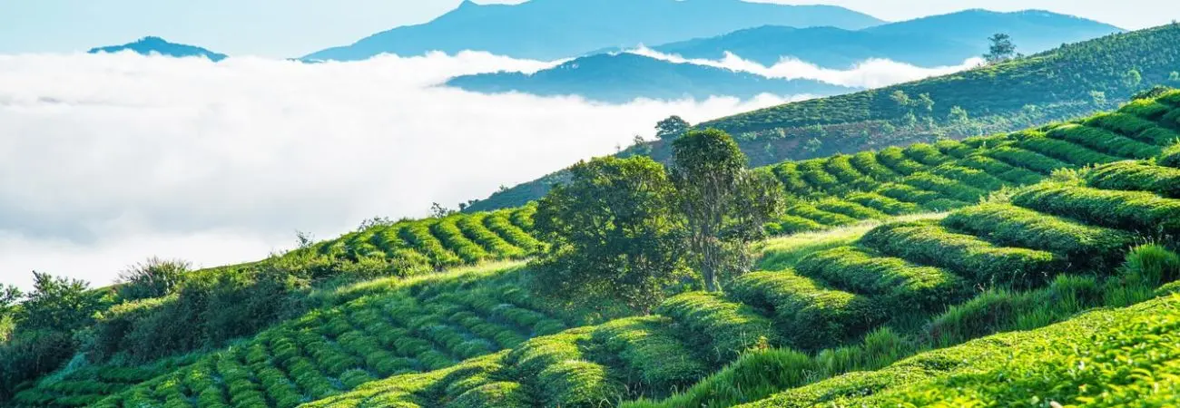 24h ở Cầu Đất cực chill của cô nàng xinh đẹp Út Huyền