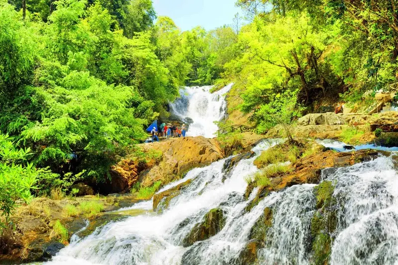24 cảnh đẹp Đà Lạt ấn tượng giải mã sức hút của thành phố ngàn hoa 8