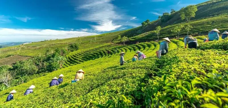 24 cảnh đẹp Đà Lạt ấn tượng giải mã sức hút của thành phố ngàn hoa 7