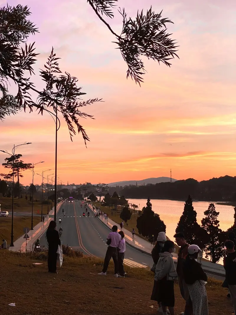 Check in dốc Sương Nguyệt &Aacute;nh đẹp như mơ giữa l&ograve;ng Đ&agrave; Lạt 3