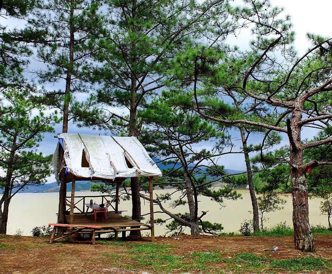 'Chiếc' Review Thung Lũng V&agrave;ng - Suối V&agrave;ng cực chi tiết d&agrave;nh cho những ai chuẩn bị đến 7