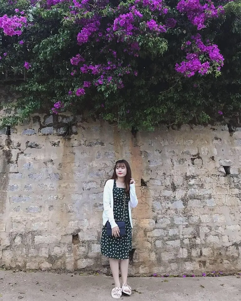 Cùng MIA.vn khám phá chiếc review Đà Lạt 4N3Đ cho 2 người của Trang Nơ 3