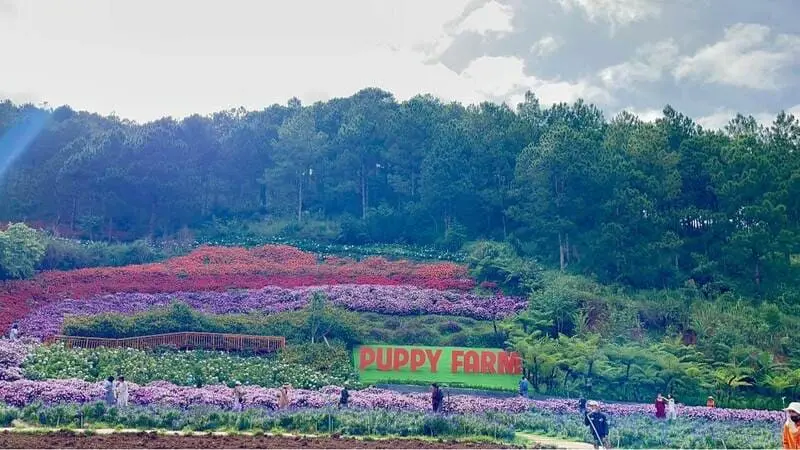 Đ&agrave; Lạt đi đ&acirc;u? Kh&aacute;m ph&aacute; top địa điểm du lịch nổi bật tại xứ sở ng&agrave;n hoa 8