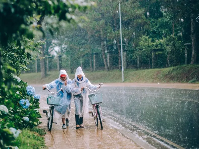 Đ&agrave; Lạt m&ugrave;a n&agrave;o đẹp nhất? B&iacute; quyết kh&aacute;m ph&aacute; th&agrave;nh phố mộng mơ 7