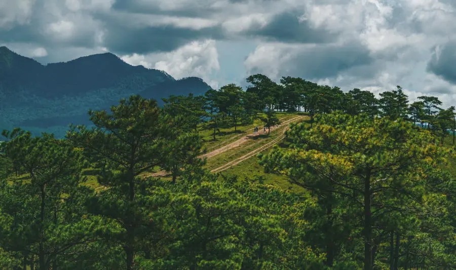 Đ&agrave; Lạt th&aacute;ng 9 đẹp dịu d&agrave;ng những ng&agrave;y v&agrave;o thu 2