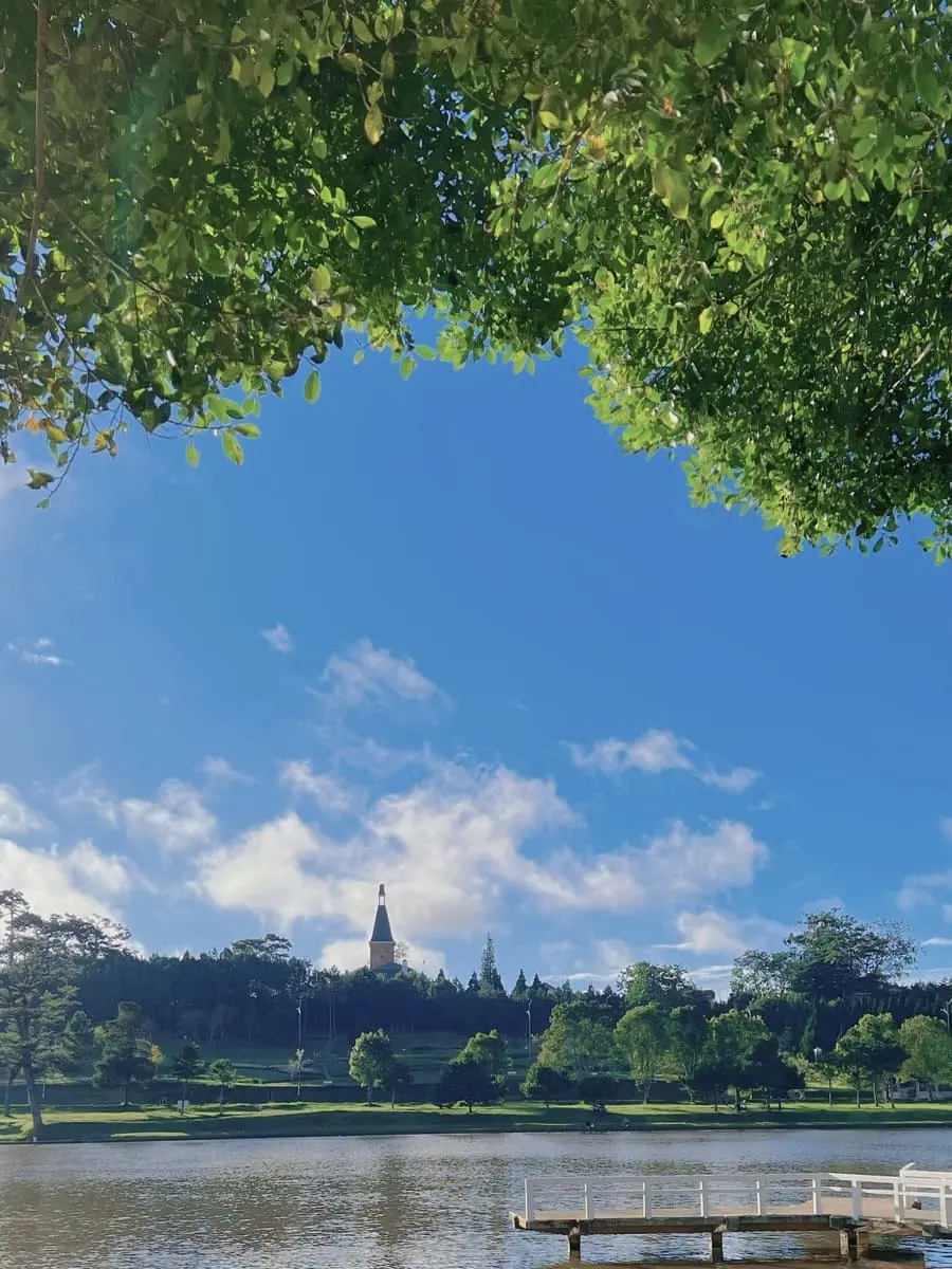 Đà Lạt vào thu, không gian chở cả trời thương nhớ của một vùng cao nguyên 3