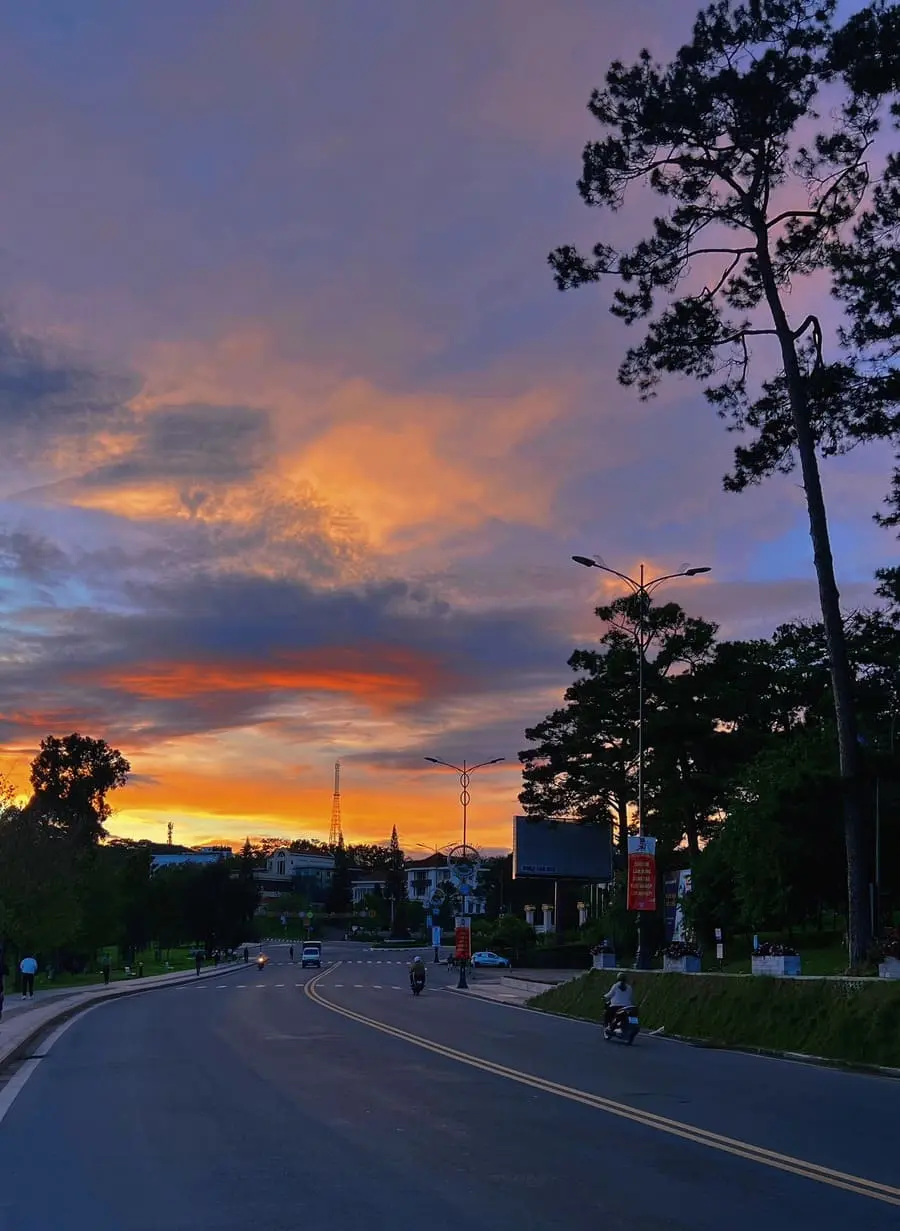 Đà Lạt vào thu, không gian chở cả trời thương nhớ của một vùng cao nguyên 5