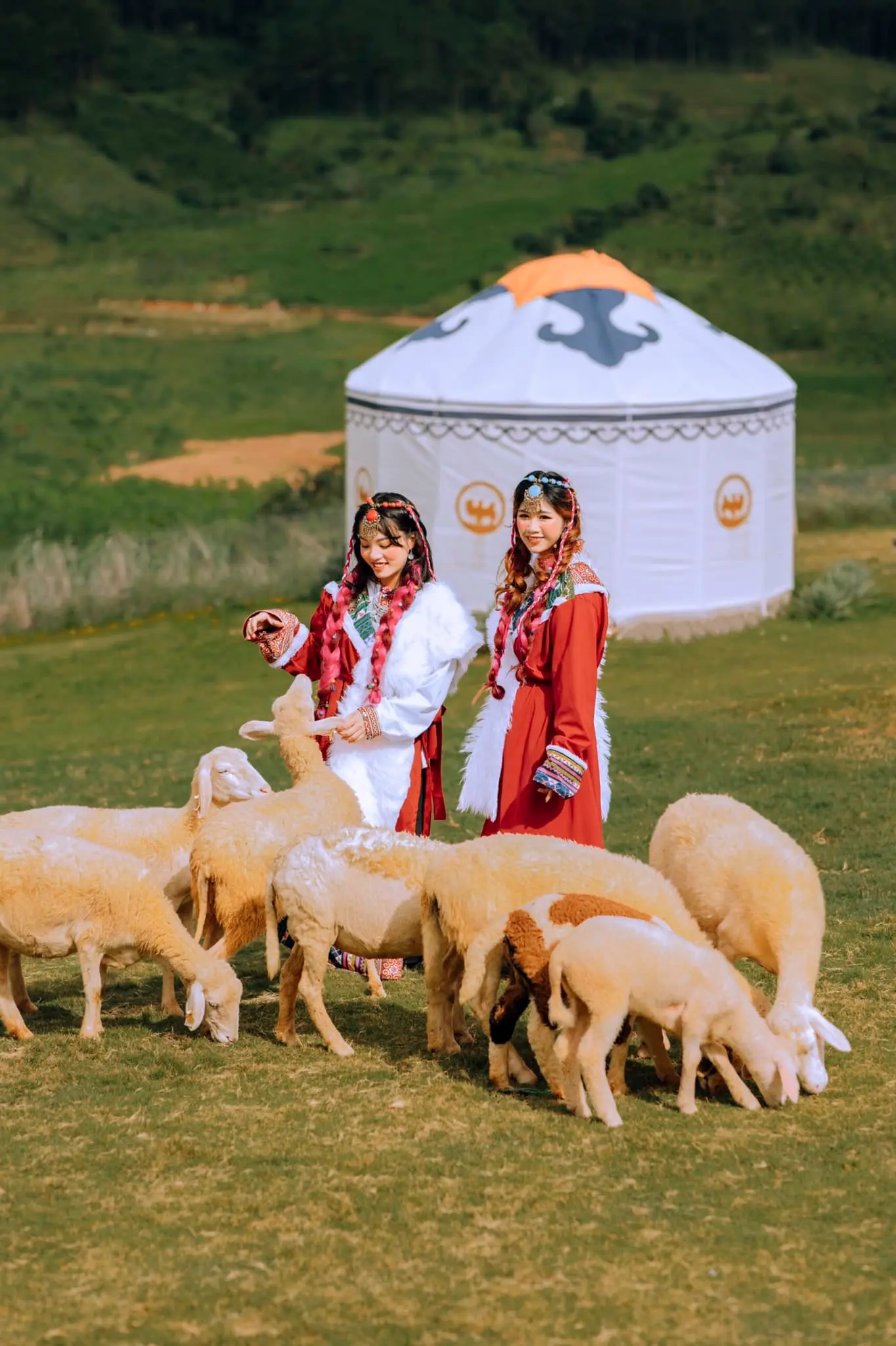 Đến Mongo Land Dalat check in c&ugrave;ng bạn th&acirc;n tr&ecirc;n thảo nguy&ecirc;n thơ mộng 3