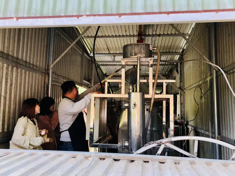 Đến Nh&agrave; Của Thời Thanh Xu&acirc;n trải nghiệm một ng&agrave;y ở n&ocirc;ng trại 6
