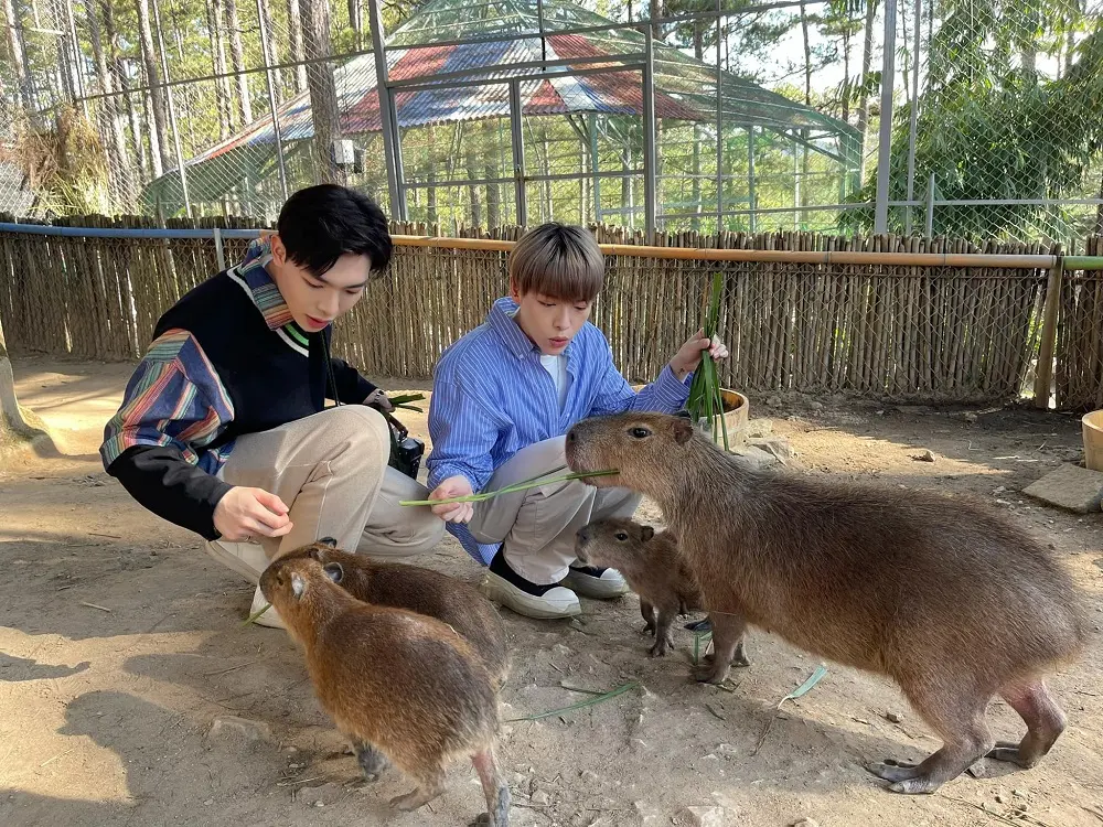 Đến sở th&uacute; Zoodoo Đ&agrave; Lạt để trở về tuổi thơ như Đức Ph&uacute;c 7