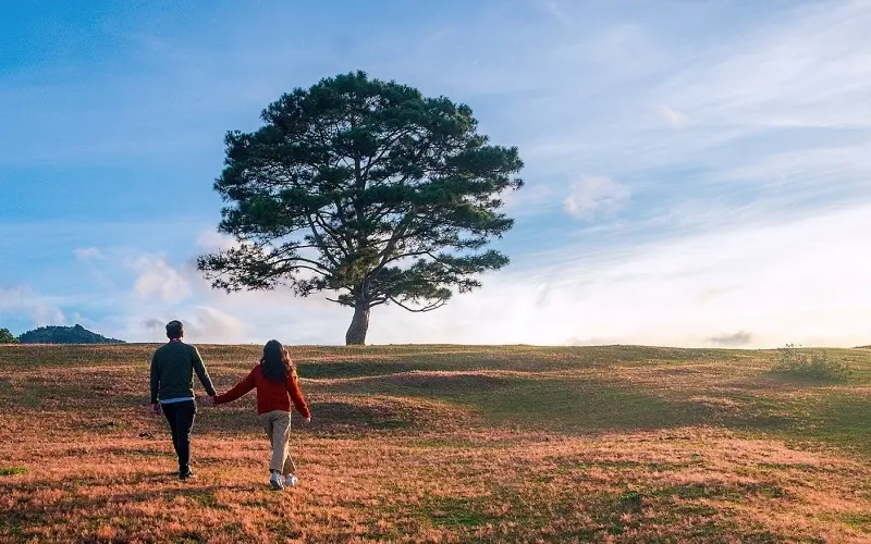 Đồi cỏ hồng Măng Lin: N&eacute;t đẹp hoang sơ n&iacute;u ch&acirc;n du kh&aacute;ch 13