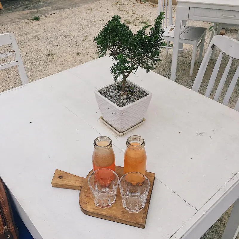 M&acirc;y Lang Thang Homestay, kh&ocirc;ng gian cực chill giữa l&ograve;ng Đ&agrave; Lạt 8