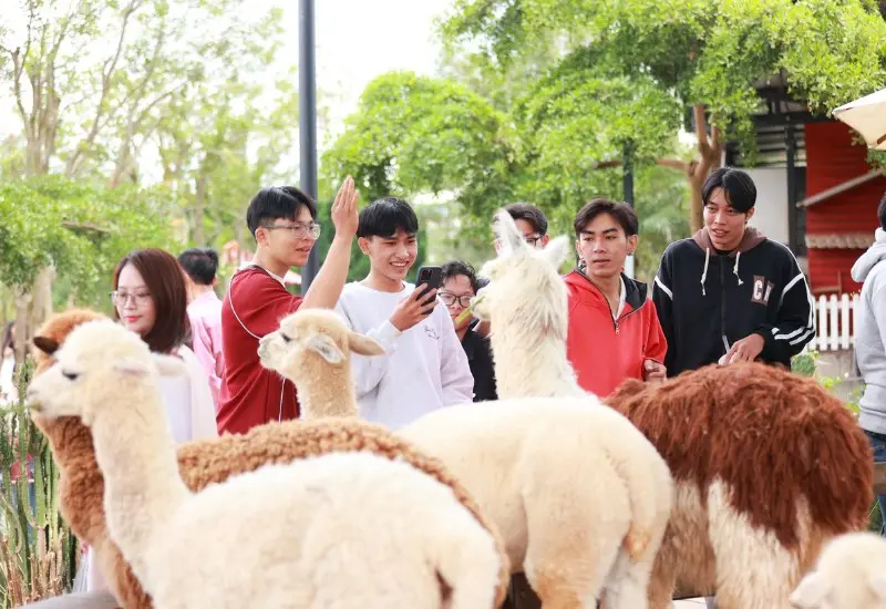 Mongo Land Dalat: Review A - Z gi&aacute; v&eacute; v&agrave; hoạt động vui chơi 11