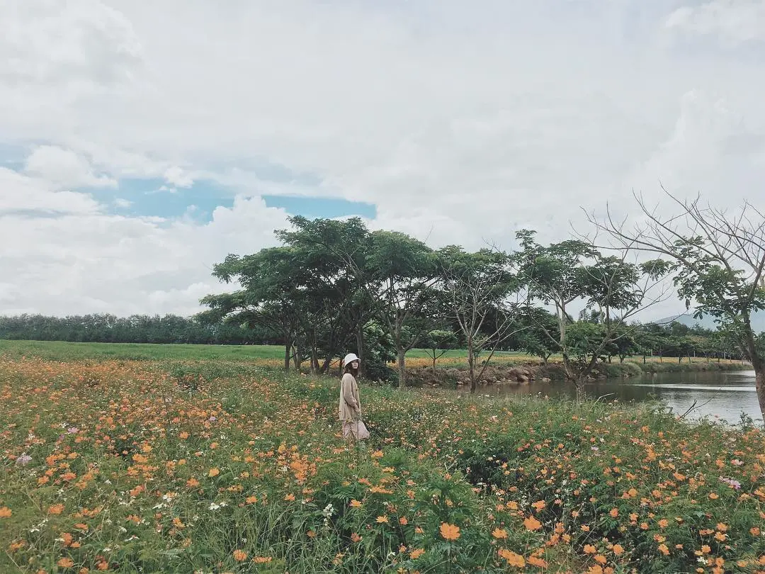 Một 'chiếc' Review Đà Lạt Milk Farm tất tần tật dành cho những ai lần đầu đến đây 3
