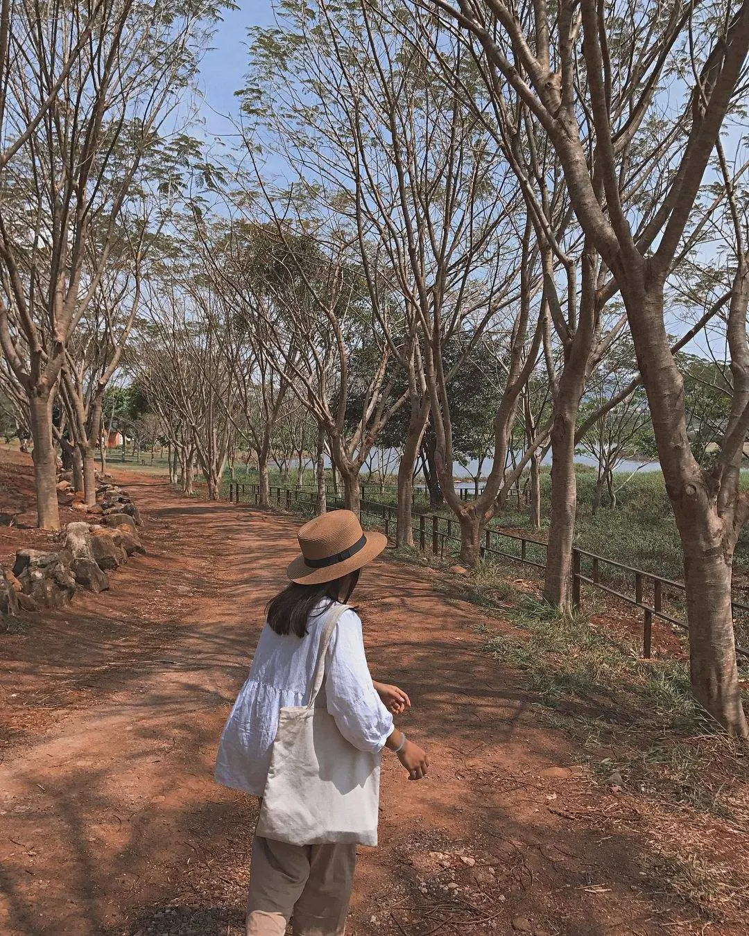 Một 'chiếc' Review Đà Lạt Milk Farm tất tần tật dành cho những ai lần đầu đến đây 4