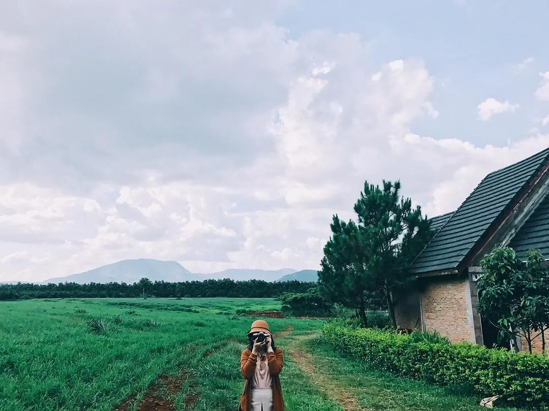 Một 'chiếc' Review Đà Lạt Milk Farm tất tần tật dành cho những ai lần đầu đến đây 8