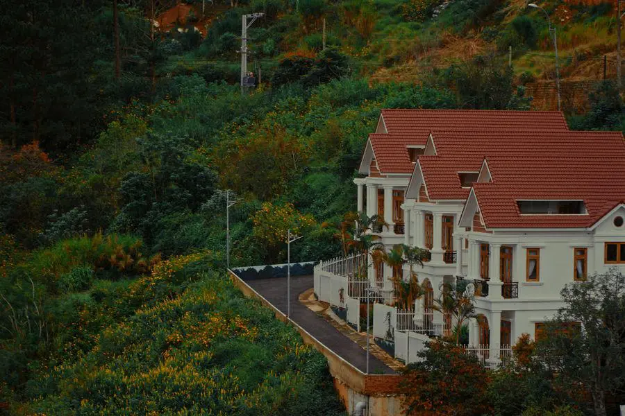 M&ugrave;a đ&ocirc;ng Đ&agrave; Lạt khẽ chạm ng&otilde; th&agrave;nh phố buồn 2