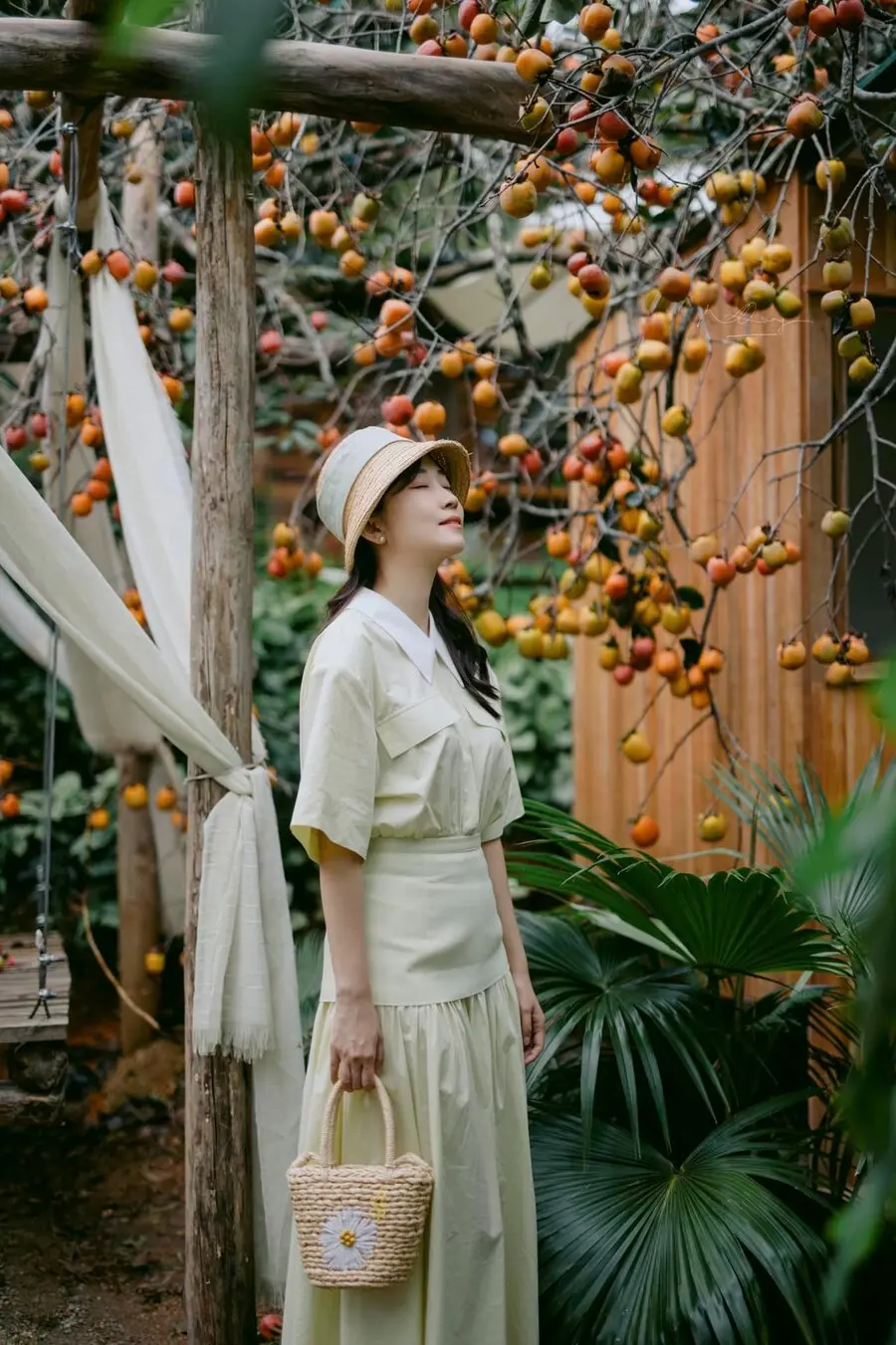 Mùa hồng Đà Lạt, giấc mơ lãng đãng nơi thiên đường trong xanh 7
